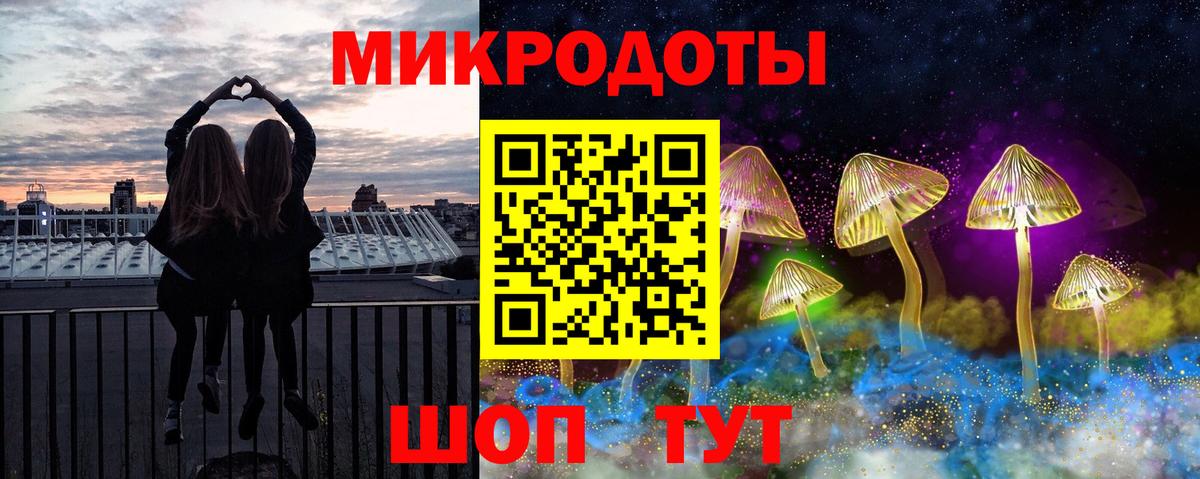 Галлюциногенные грибы Psilocybe Большой Камень
